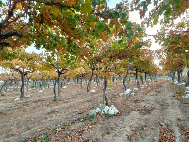 Mark till salu i Aspe - 66 050 € (Ref: 7997026)