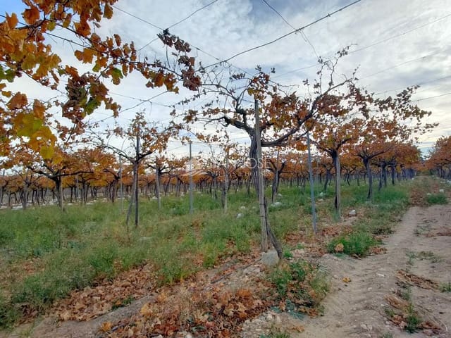 Mark till salu i Aspe - 66 050 € (Ref: 7997026)