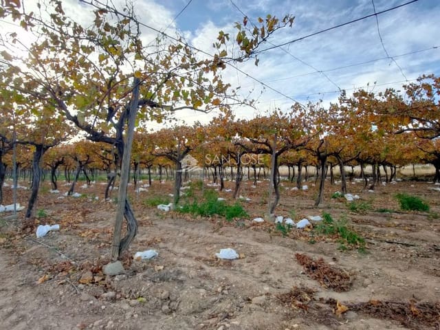 Mark till salu i Aspe - 66 050 € (Ref: 7997026)