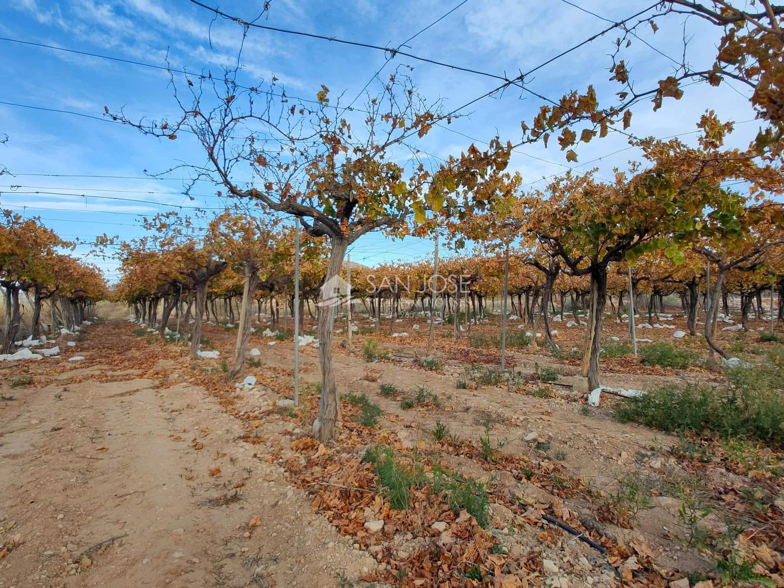 Grond te koop in Aspe - € 66.050 (Ref: 7997026)