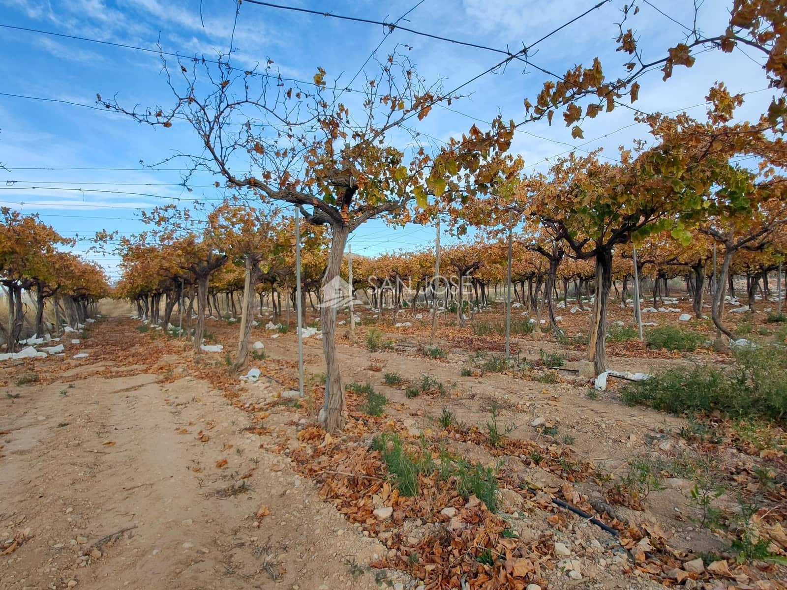 Grond te koop in Aspe - € 66.050 (Ref: 7997026)