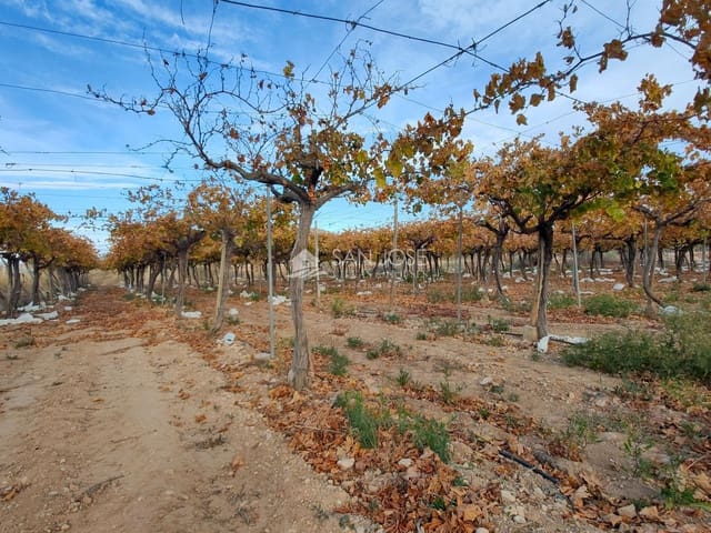 Mark till salu i Aspe - 66 050 € (Ref: 7997026)