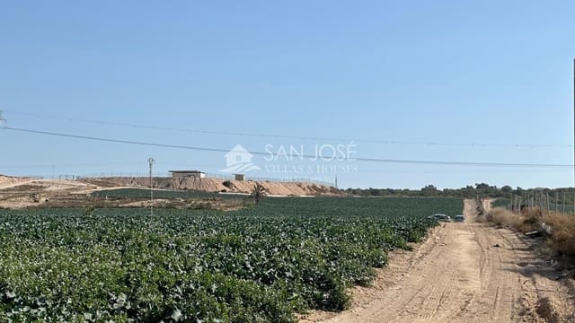 Tomt till salu i Elche / Elx - 141 836 € (Ref: 8108732)