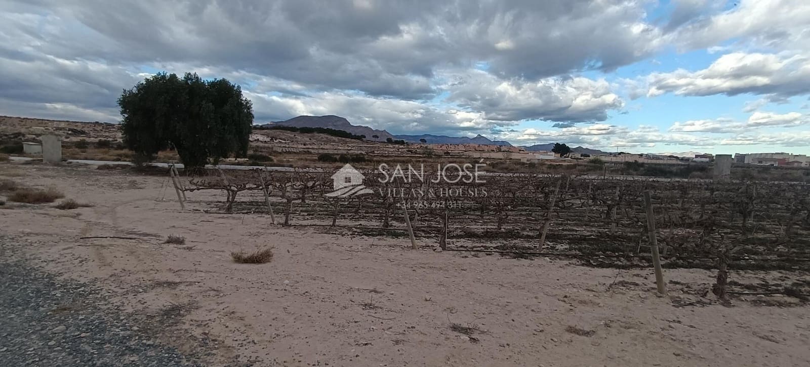 Terre non Aménagée à vendre à Monforte del Cid - 64 840 € (Ref: 8135758)