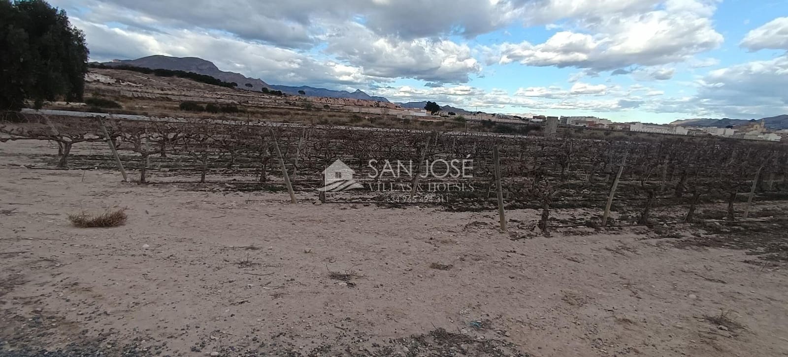 Terre non Aménagée à vendre à Monforte del Cid - 64 840 € (Ref: 8135758)