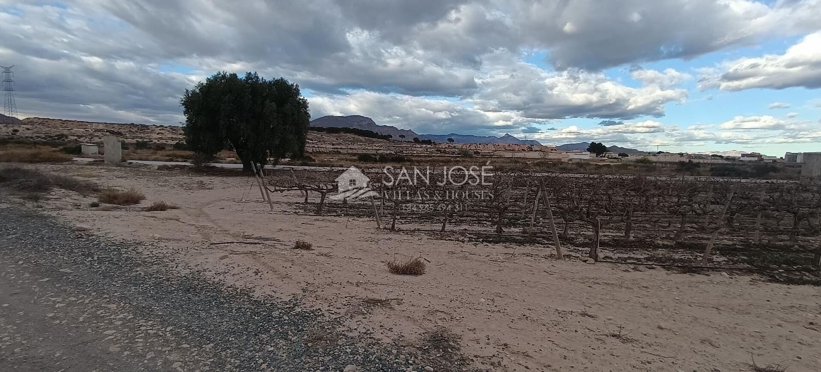 Terre non Aménagée à vendre à Monforte del Cid - 64 840 € (Ref: 8135758)