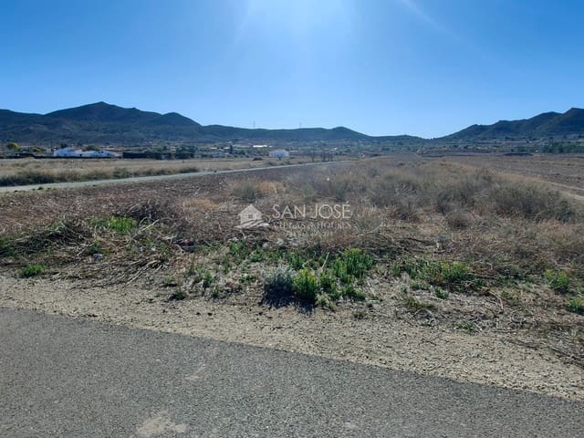Undeveloped Land for sale in Hondón de los Frailes - € 28,630 (Ref: 8217803)
