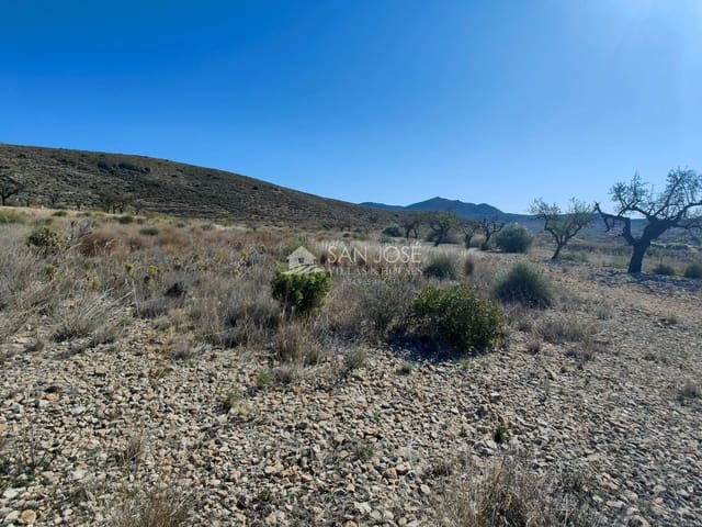 Undeveloped Land for sale in Hondón de los Frailes - € 18,000 (Ref: 8217805)