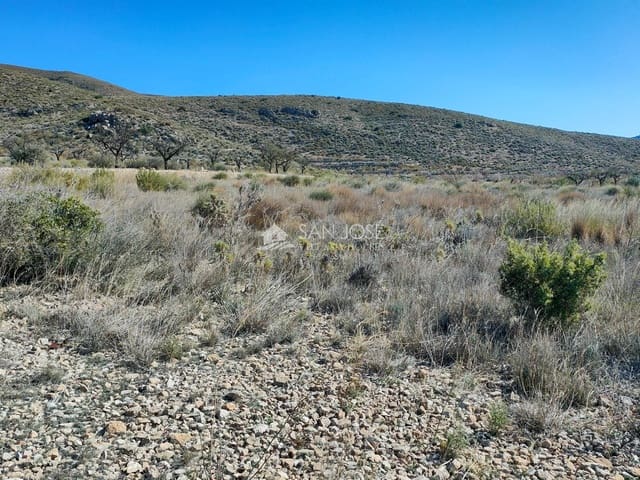 Undeveloped Land for sale in Hondón de los Frailes - € 18,000 (Ref: 8217805)