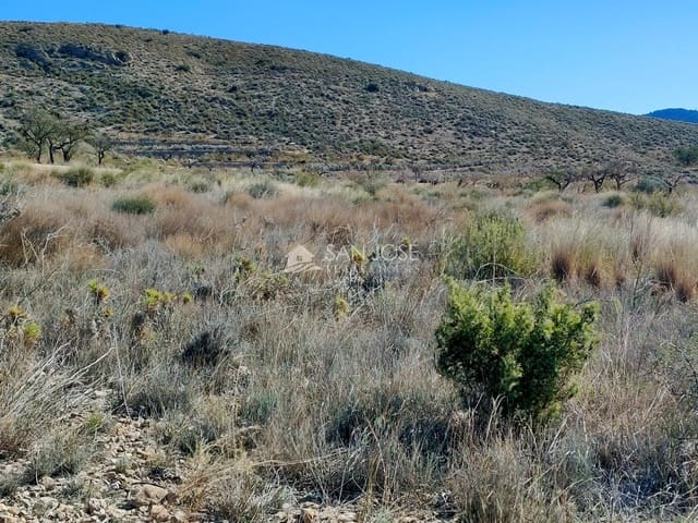 Undeveloped Land for sale in Hondón de los Frailes - € 18,000 (Ref: 8217805)