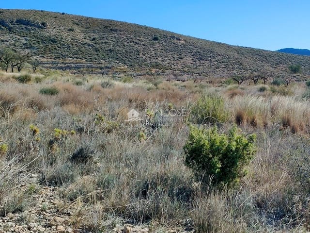 Undeveloped Land for sale in Hondón de los Frailes - € 18,000 (Ref: 8217805)