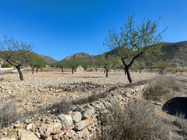 Terre non Aménagée à vendre à Barbarroja, Orihuela - 55 000 € (Ref: 8217806)