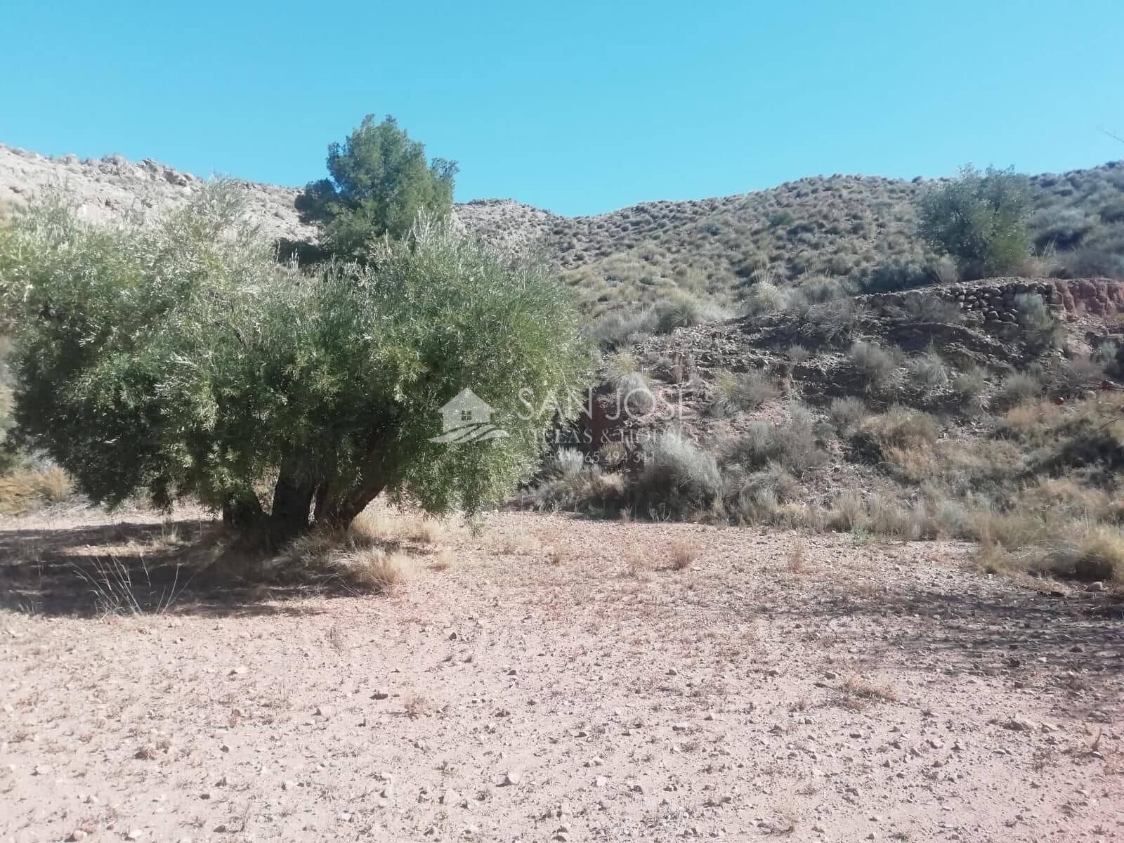 Grond te koop in Macisvenda - € 23.000 (Ref: 8220639)