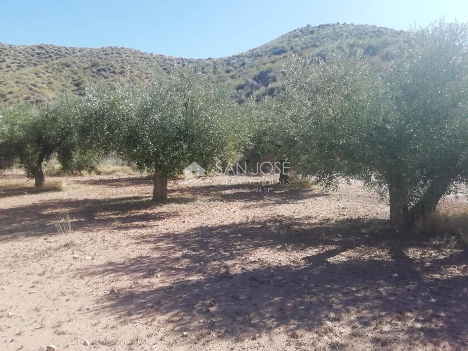 Grond te koop in Macisvenda - € 23.000 (Ref: 8220639)