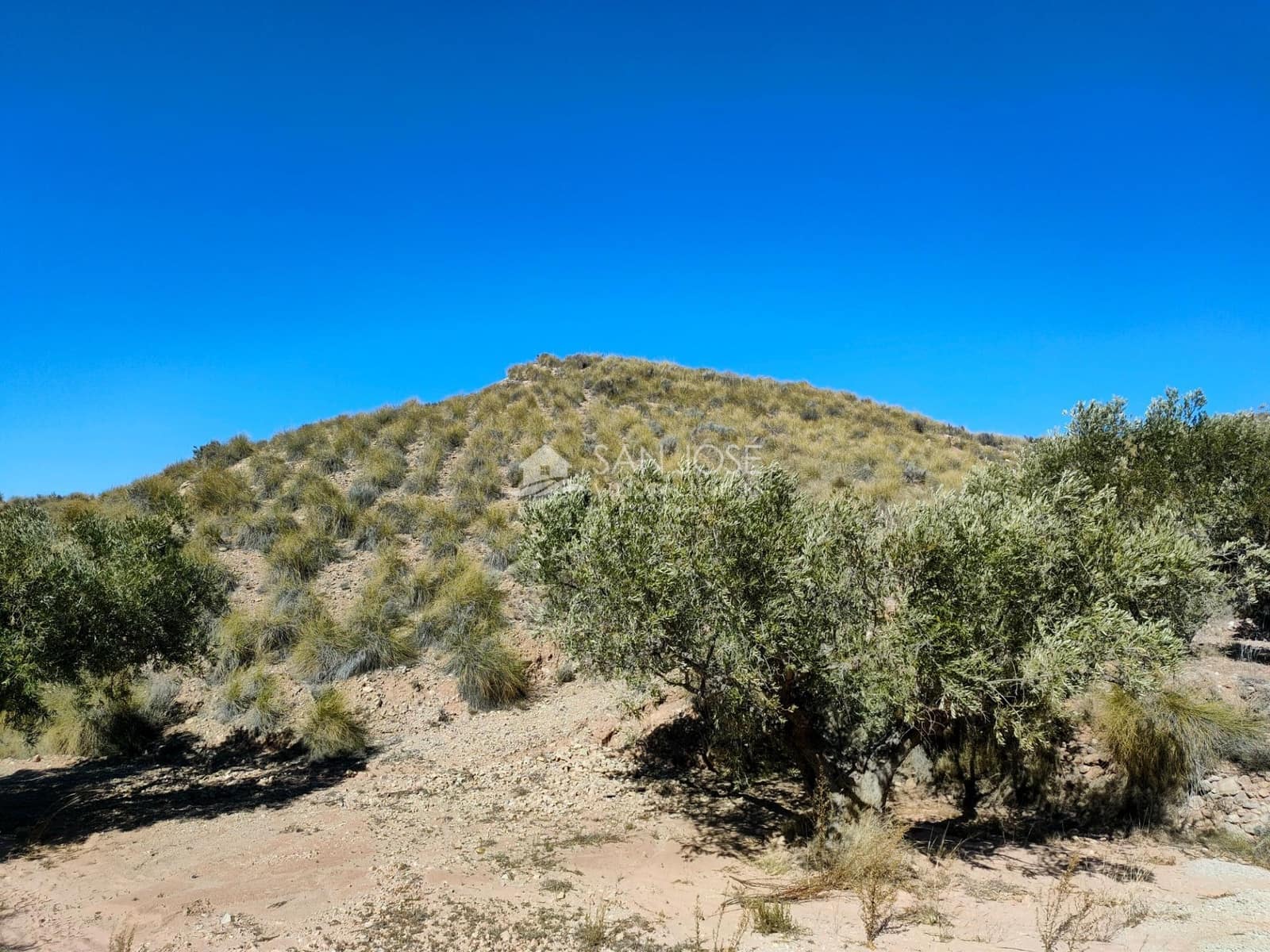 Grond te koop in Macisvenda - € 23.000 (Ref: 8220639)