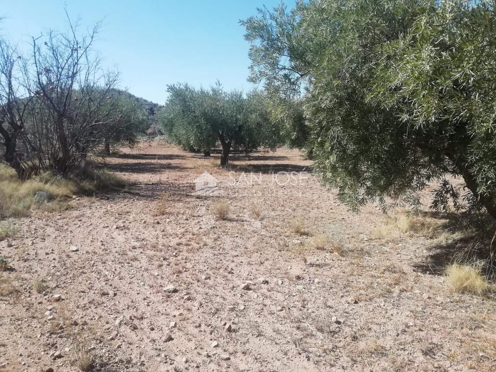 Grond te koop in Macisvenda - € 23.000 (Ref: 8220639)