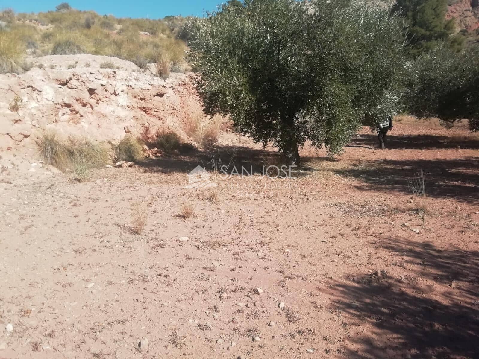 Grond te koop in Macisvenda - € 23.000 (Ref: 8220639)