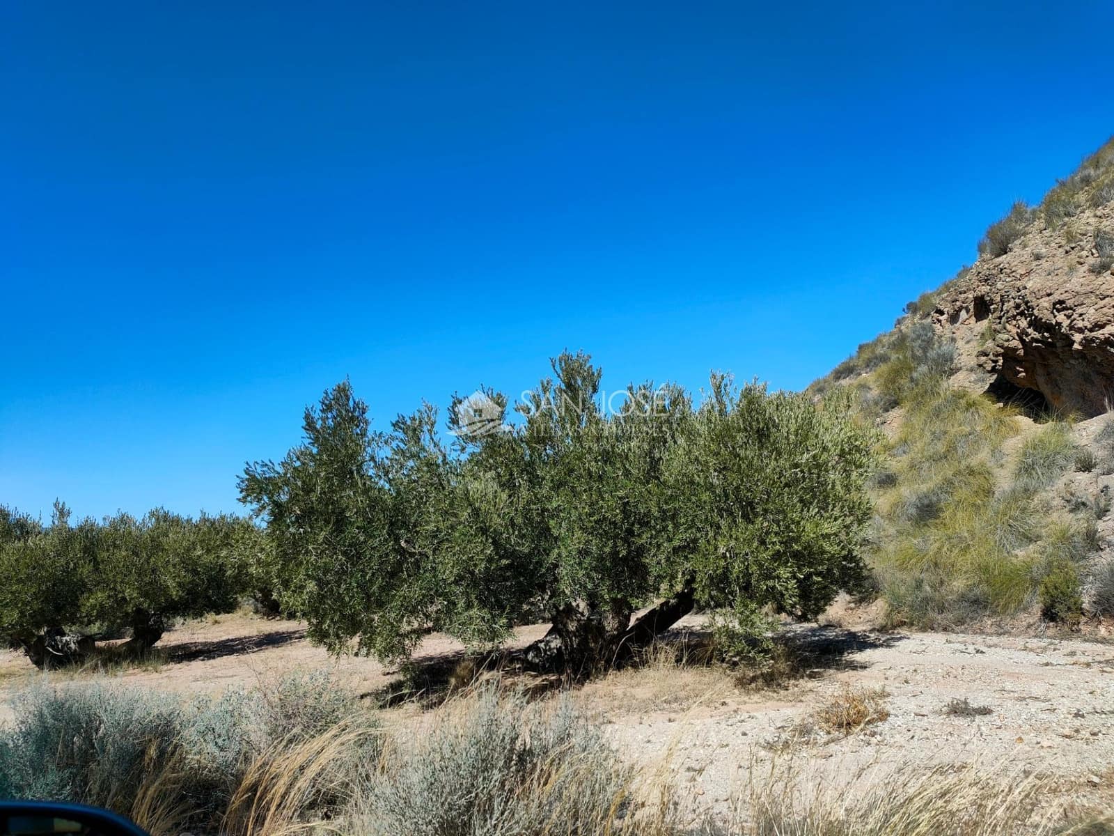 Grond te koop in Macisvenda - € 23.000 (Ref: 8220639)