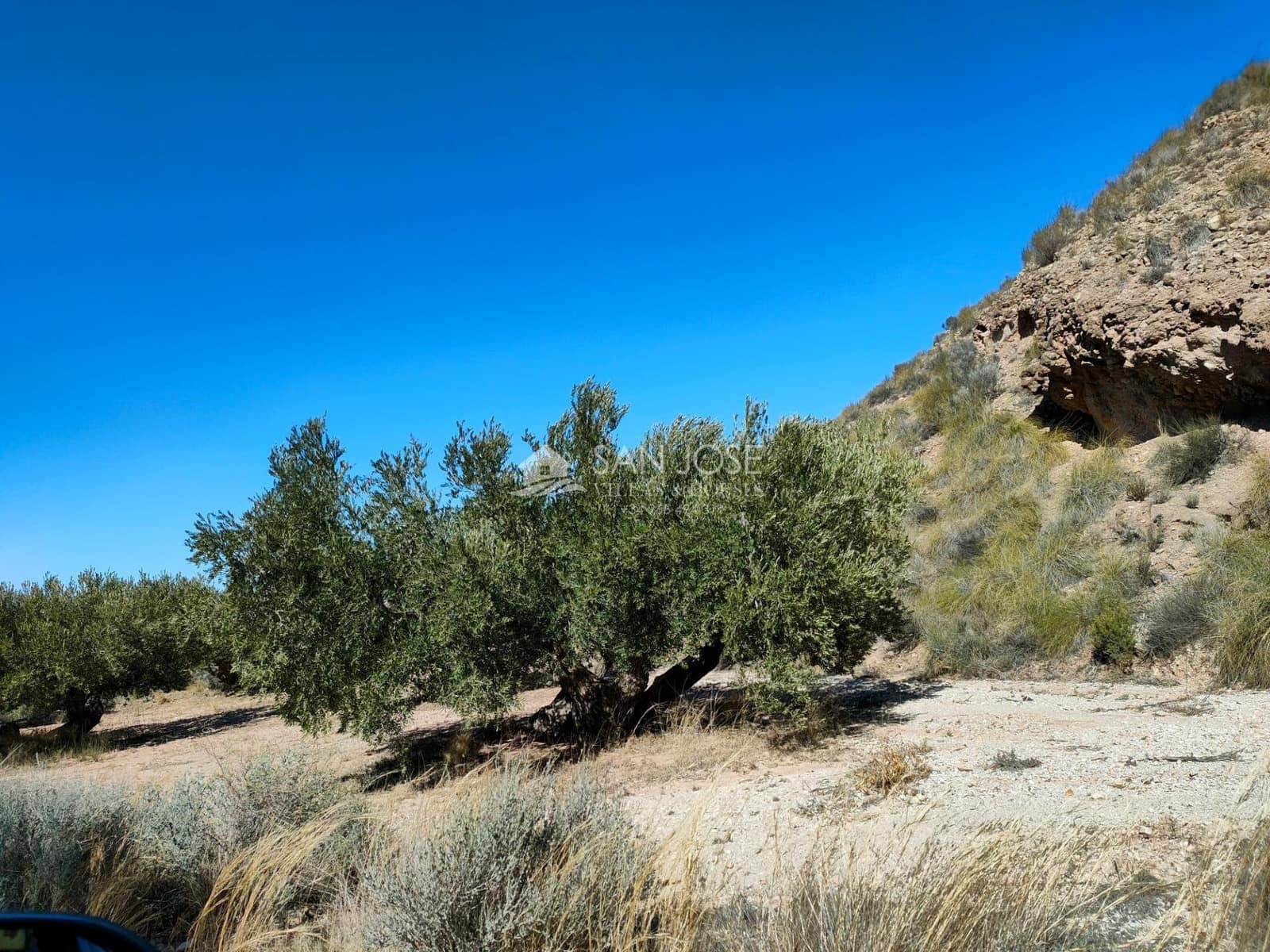 Grond te koop in Macisvenda - € 23.000 (Ref: 8220639)