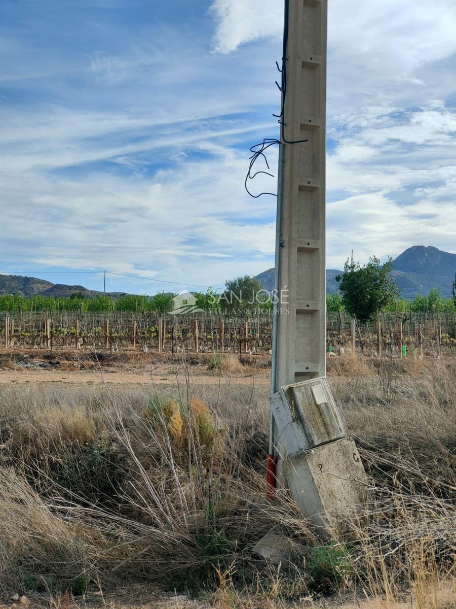 Grond te koop in Aspe - € 69.840 (Ref: 8270601)