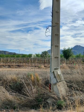 Mark till salu i Aspe - 69 840 € (Ref: 8270601)