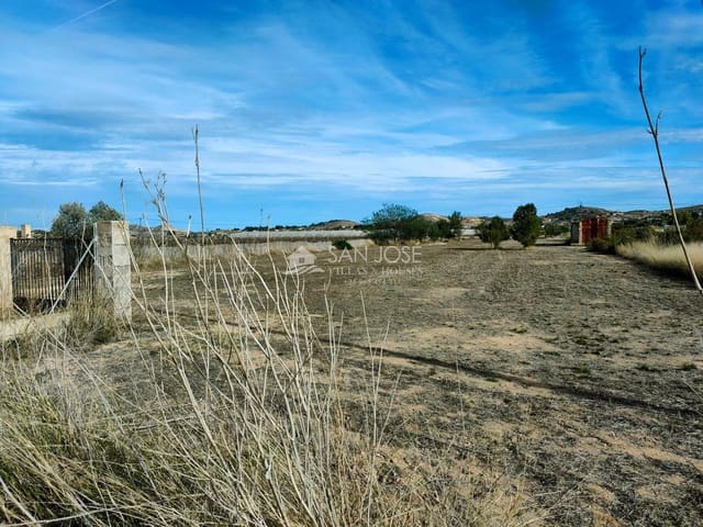 Mark till salu i Aspe - 69 840 € (Ref: 8270601)