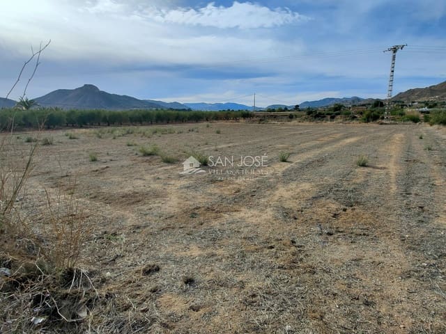 Mark till salu i Aspe - 69 840 € (Ref: 8270601)