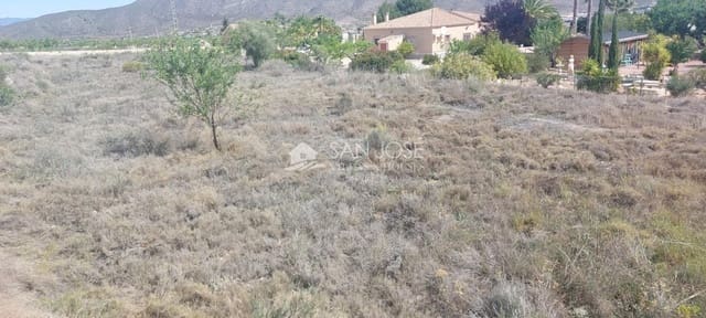 Undeveloped Land for sale in Hondón de los Frailes - € 25,000 (Ref: 8295914)