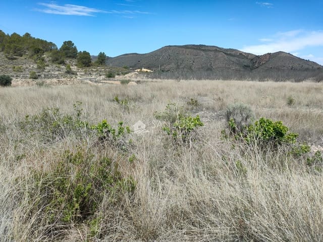 Mark till salu i Hondón de las Nieves - 29 230 € (Ref: 8354301)