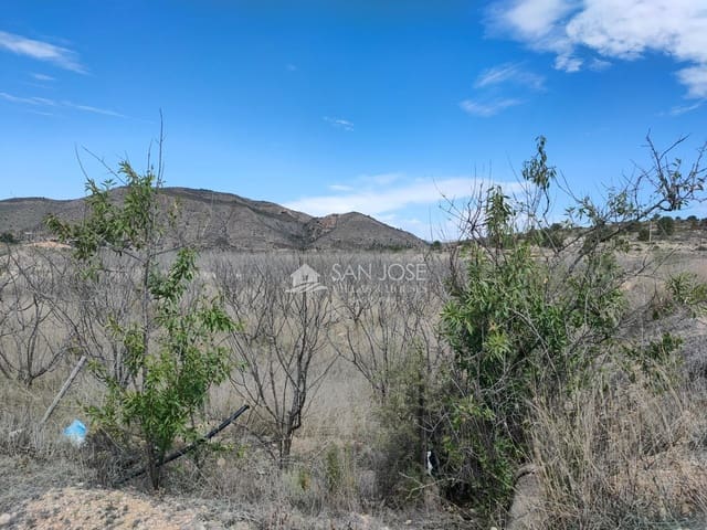 Mark till salu i Hondón de las Nieves - 15 630 € (Ref: 8354302)