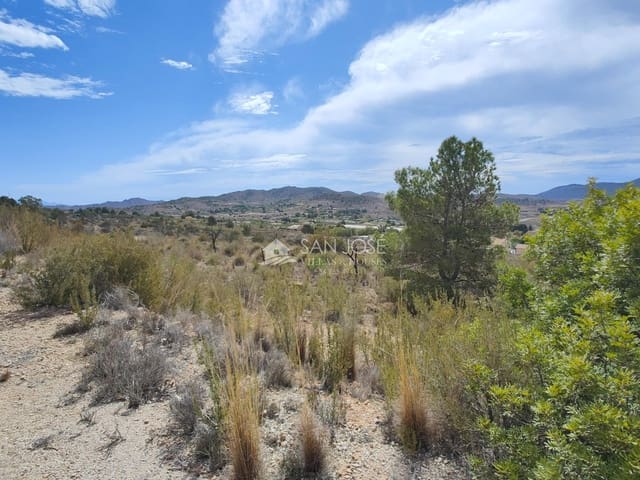 Mark till salu i Hondón de las Nieves - 34 509 € (Ref: 8354304)