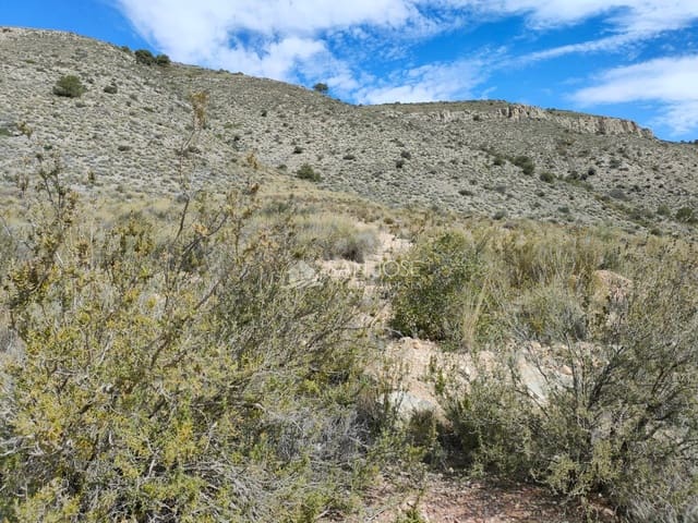 Mark till salu i Hondón de las Nieves - 34 509 € (Ref: 8354304)