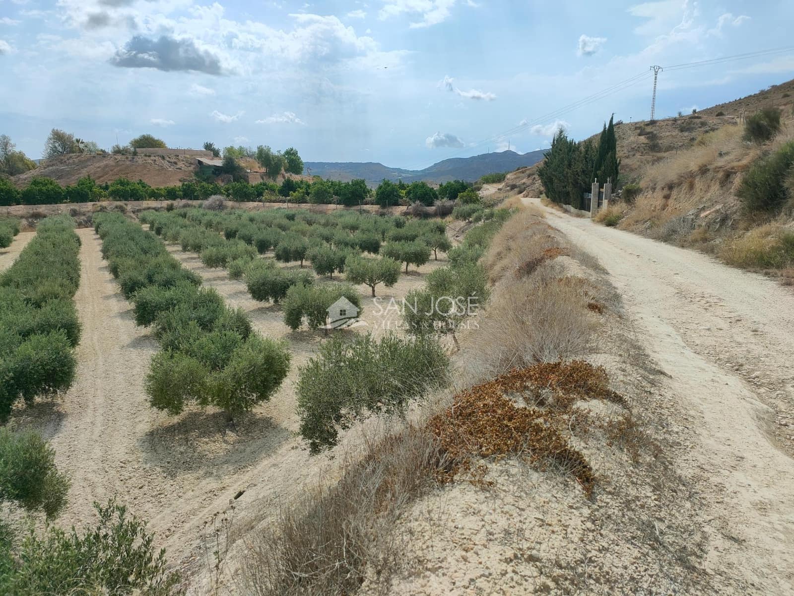 1 quarto Quinta/Casa Rural para venda em Aspe - 69 000 € (Ref: 8366106)