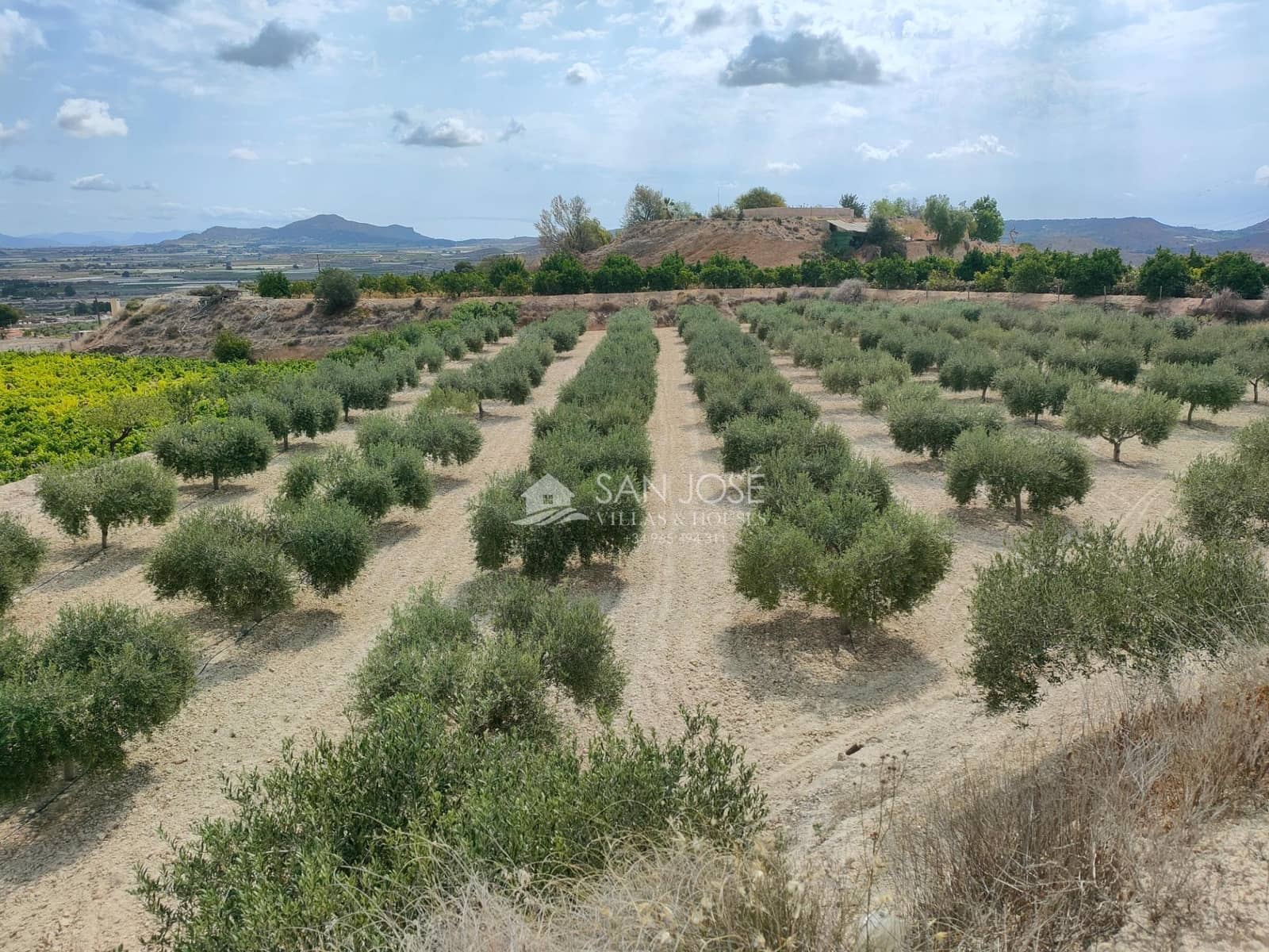 1 quarto Quinta/Casa Rural para venda em Aspe - 69 000 € (Ref: 8366106)
