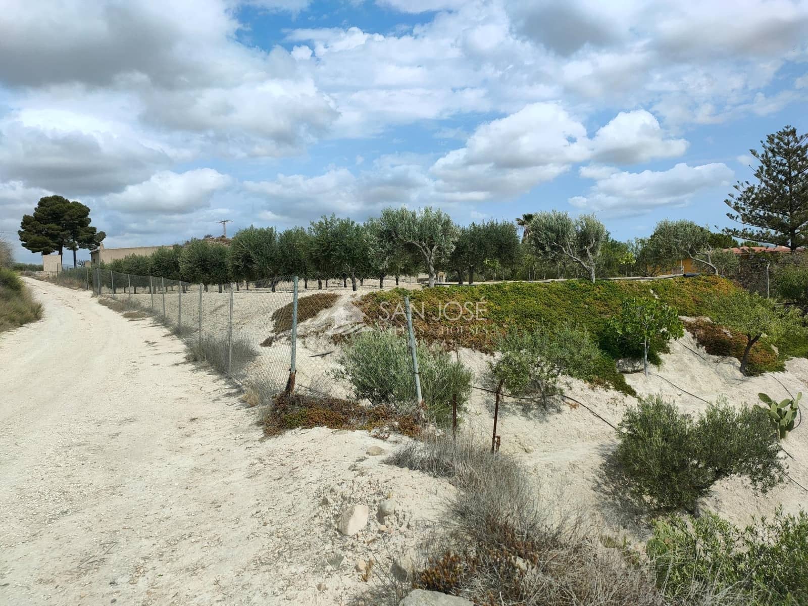 1 quarto Quinta/Casa Rural para venda em Aspe - 69 000 € (Ref: 8366106)