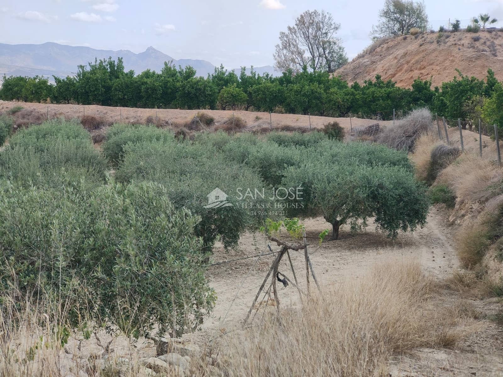 1 quarto Quinta/Casa Rural para venda em Aspe - 69 000 € (Ref: 8366106)