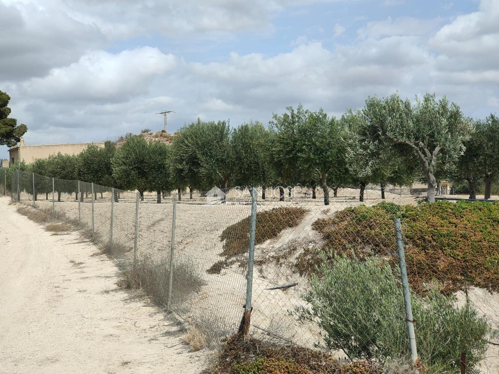 1 quarto Quinta/Casa Rural para venda em Aspe - 69 000 € (Ref: 8366106)