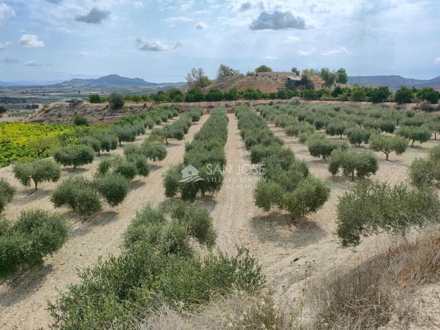 1 quarto Quinta/Casa Rural para venda em Aspe - 69 000 € (Ref: 8366106)