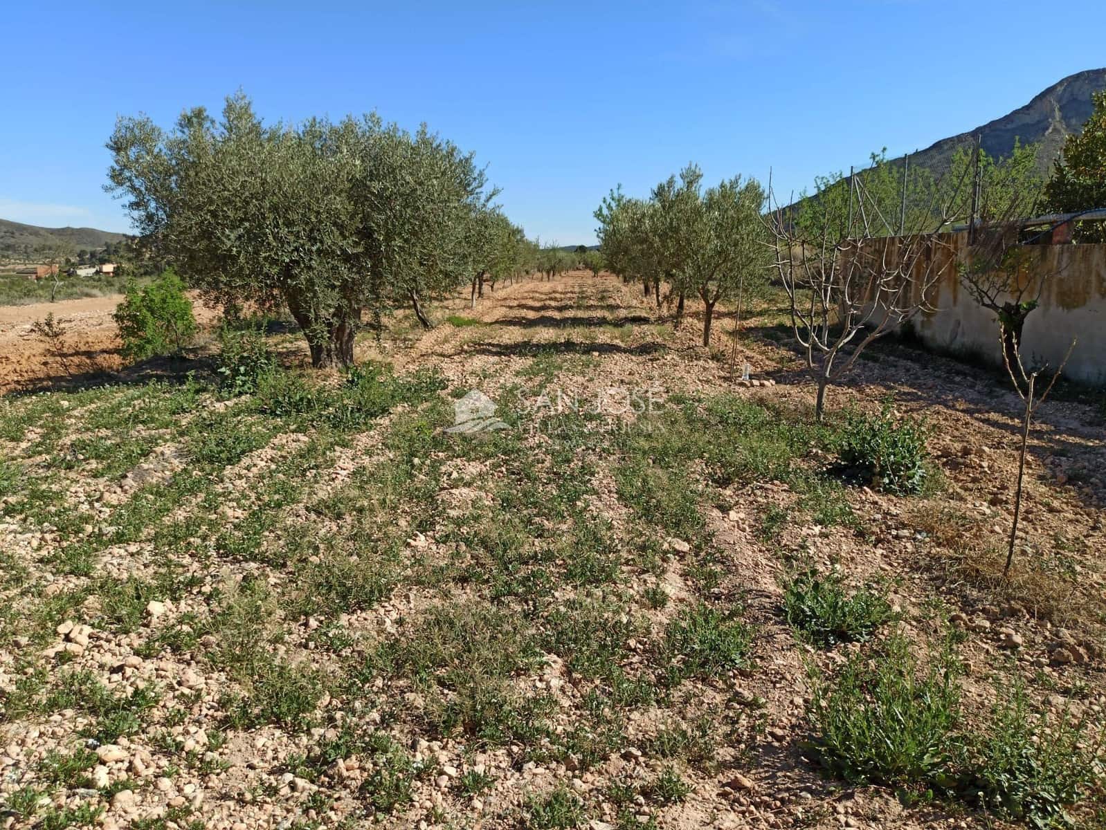 9 slaapkamer Finca/Landhuis te koop in El Canton - € 265.000 (Ref: 8373537)