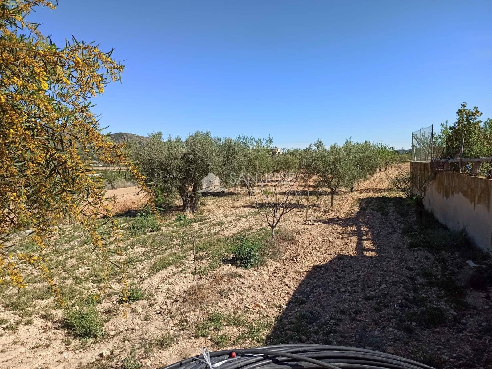 9 slaapkamer Finca/Landhuis te koop in El Canton - € 265.000 (Ref: 8373537)