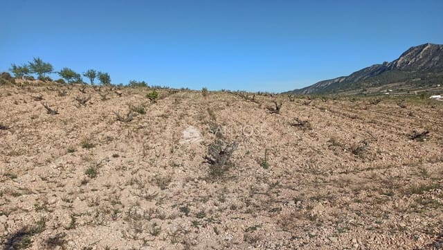Undeveloped Land for sale in L'Algueña / Alguenya - € 19,990 (Ref: 8382829)
