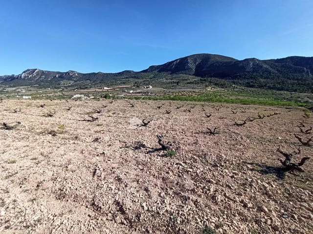 Undeveloped Land for sale in L'Algueña / Alguenya - € 19,990 (Ref: 8382829)