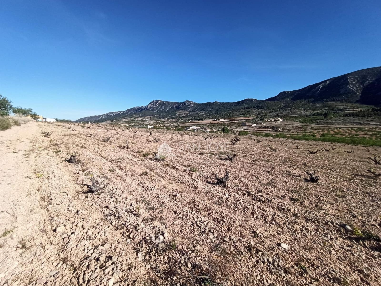 Grunde uden byggetilladelser til salg i L'Alguena / Alguenya - € 19.990 (Ref: 8382829)