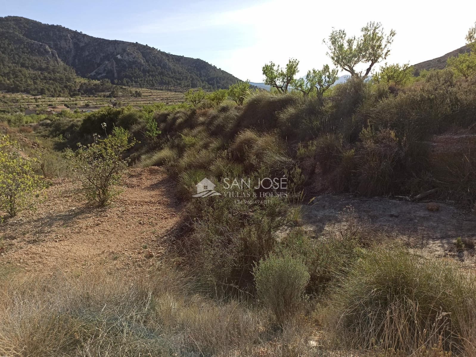 Grunde uden byggetilladelser til salg i L'Alguena / Alguenya - € 19.990 (Ref: 8382829)