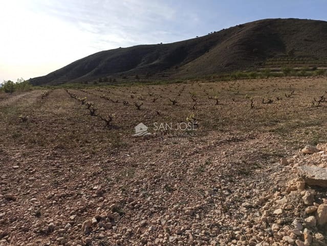 Undeveloped Land for sale in L'Algueña / Alguenya - € 19,990 (Ref: 8382829)