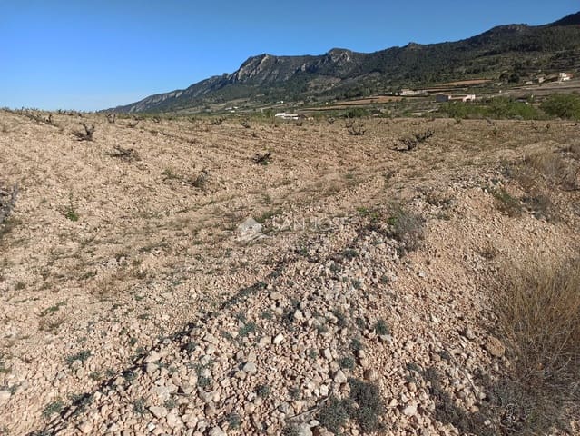 Undeveloped Land for sale in L'Algueña / Alguenya - € 19,990 (Ref: 8382829)