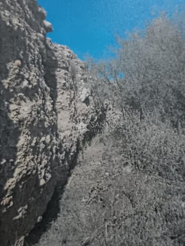 Mark till salu i Monóvar / Monóver - 50 000 € (Ref: 8485493)