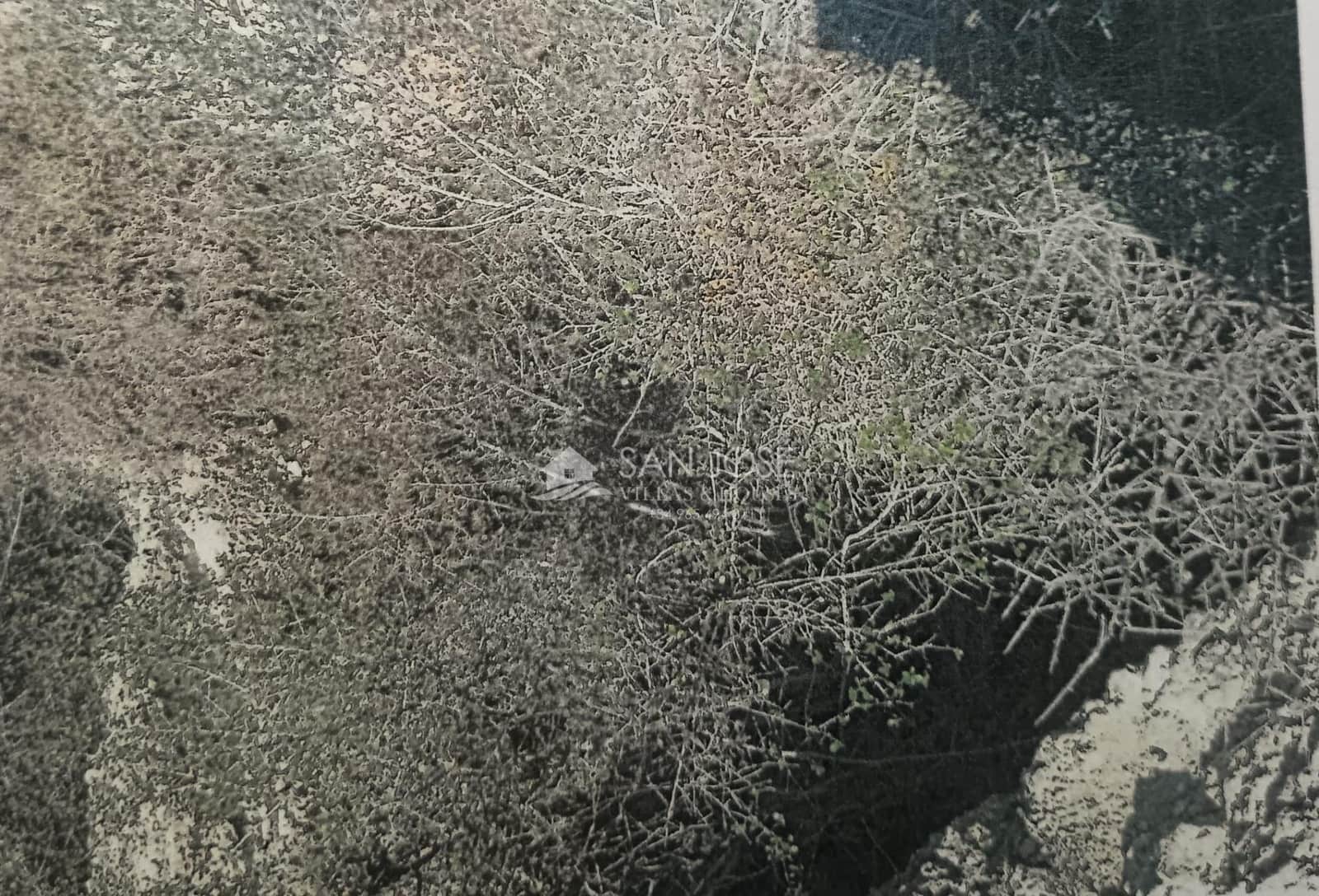 Grunde uden byggetilladelser til salg i Monovar / Monover - € 50.000 (Ref: 8485493)