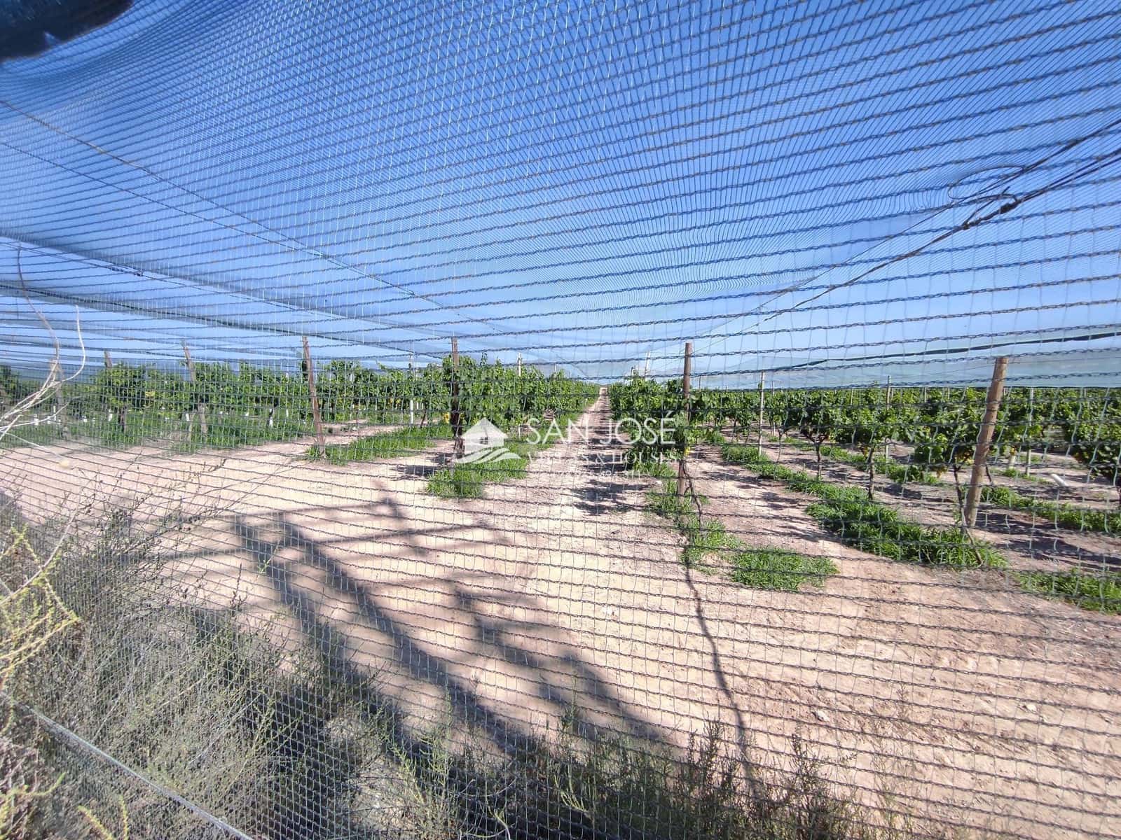 Terrain à Bâtir à vendre à Monforte del Cid - 111 050 € (Ref: 8500319)