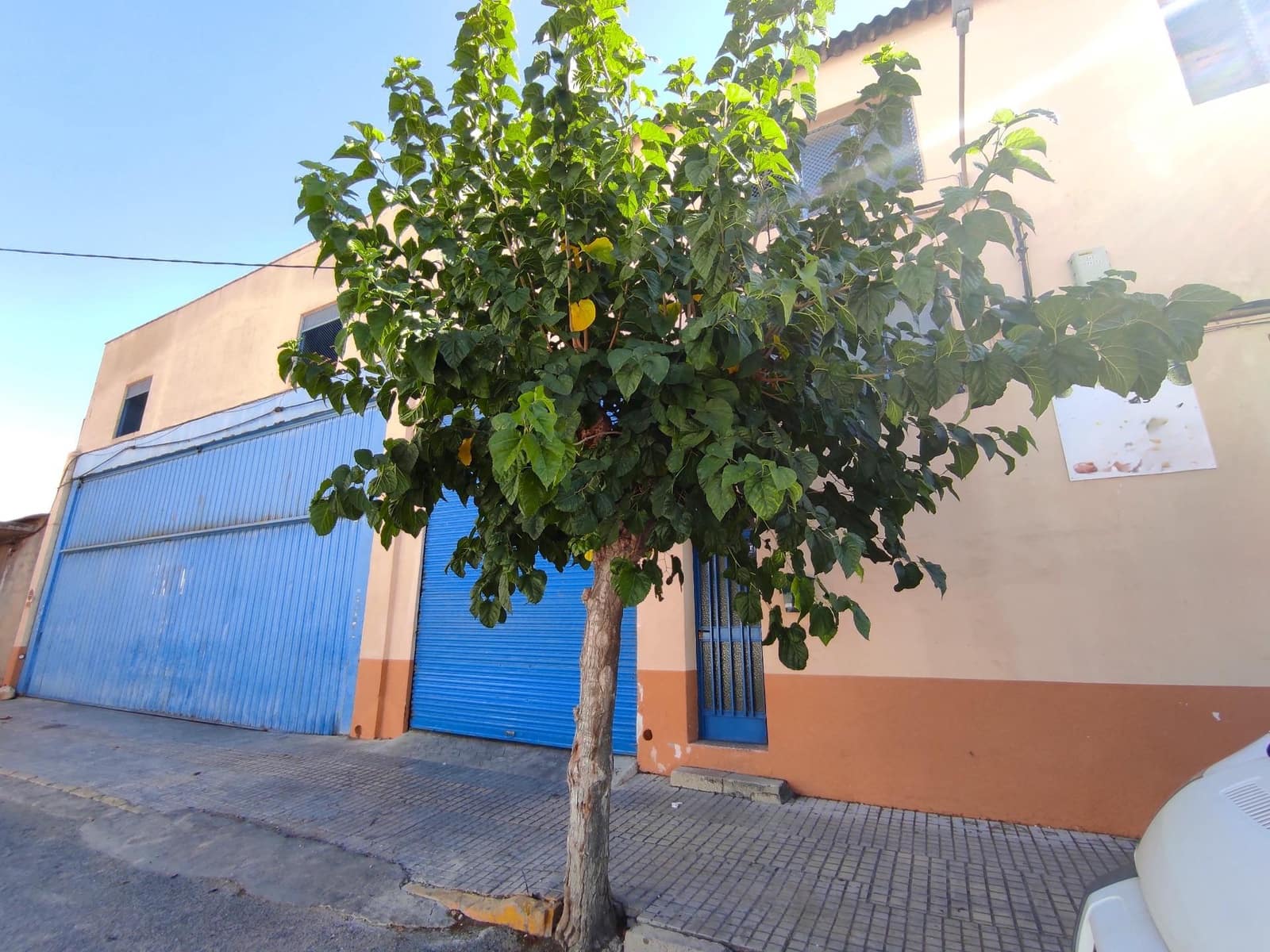 Virksomhed til salg i Monforte del Cid - € 474.830 (Ref: 8544798)